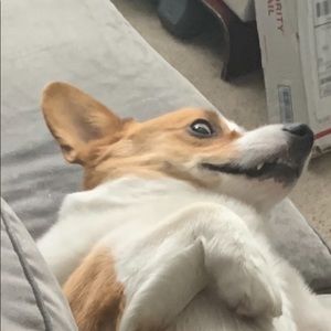 Meet your Posher, Isabelle